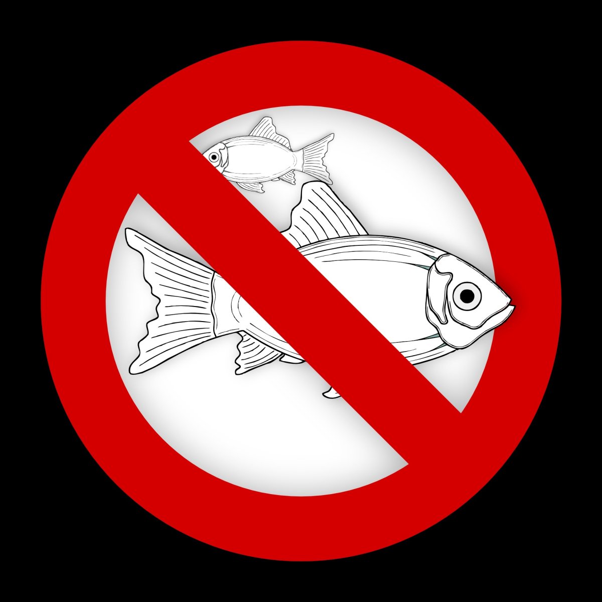 No Fish.jpg