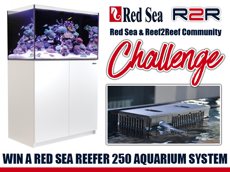 REDSEA GIVEAWAY June 2018.jpg