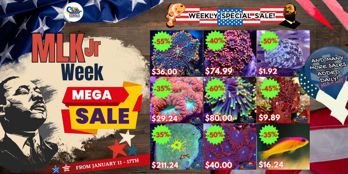 01.10.24 MLK Jr. Week Mega Sale Website Banner (1).png