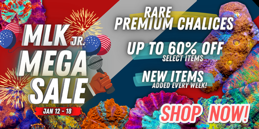 01.12.2023 MLK Mega Sale.png