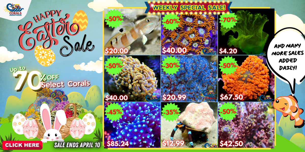 03.28.2024 Ester Sale Website Banner.png