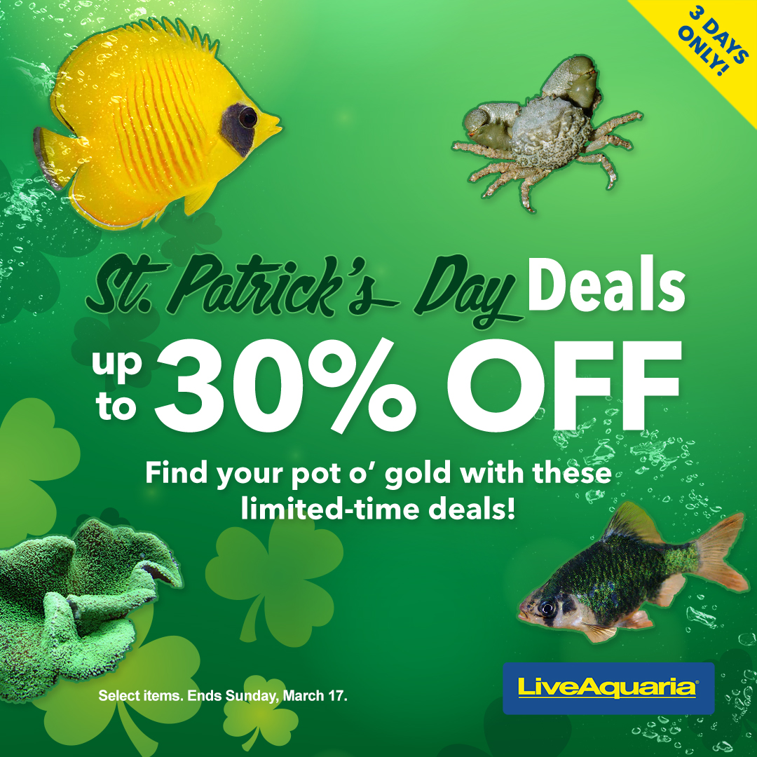 031524_SOCIAL_St-Paddys-Weekend-Deals.jpg