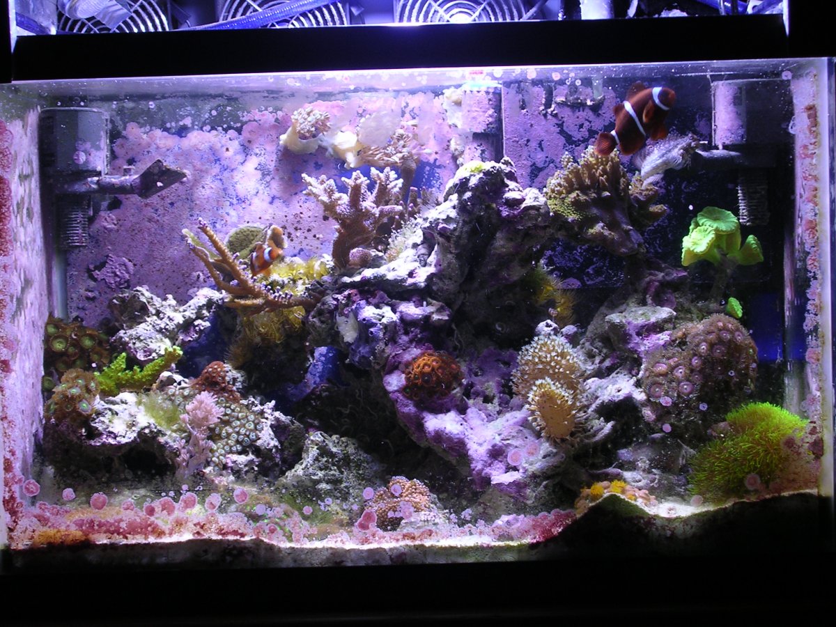 040_month_06_027Full tank 2.JPG