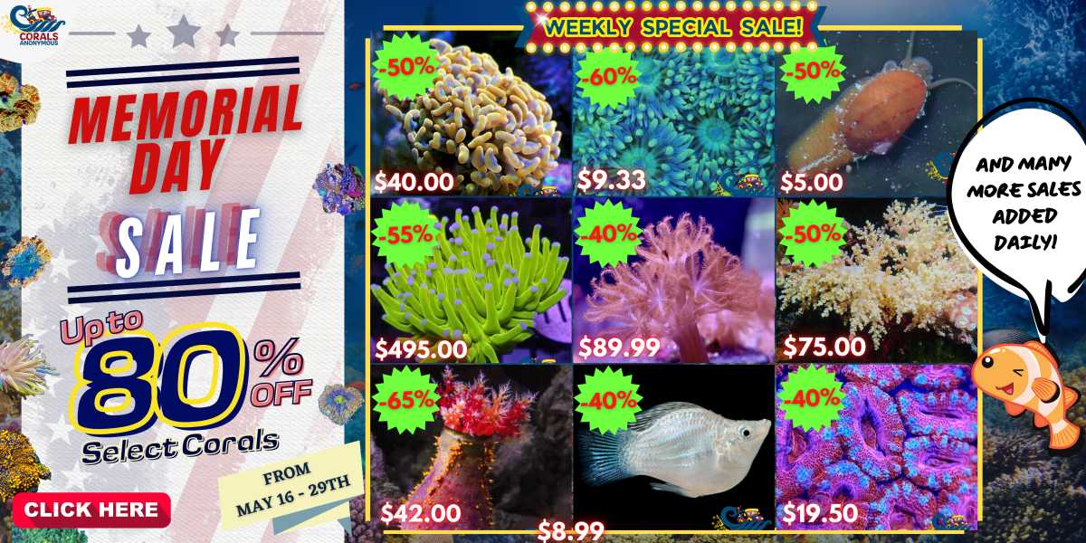 05.16.24 Memorial Day Sale Website Banner.png