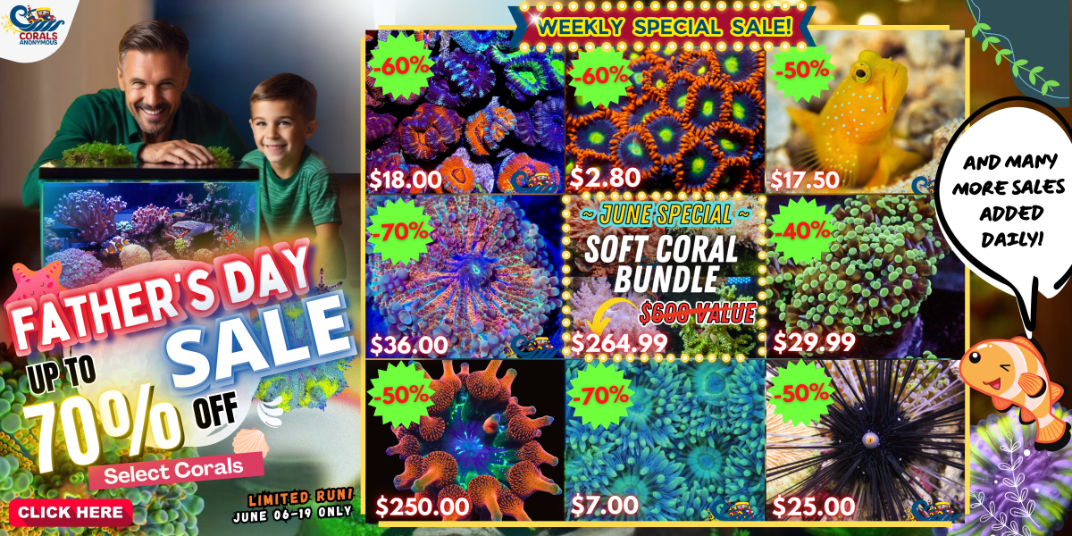 05.30.24 Father's Day Sale Website Banner (1).png