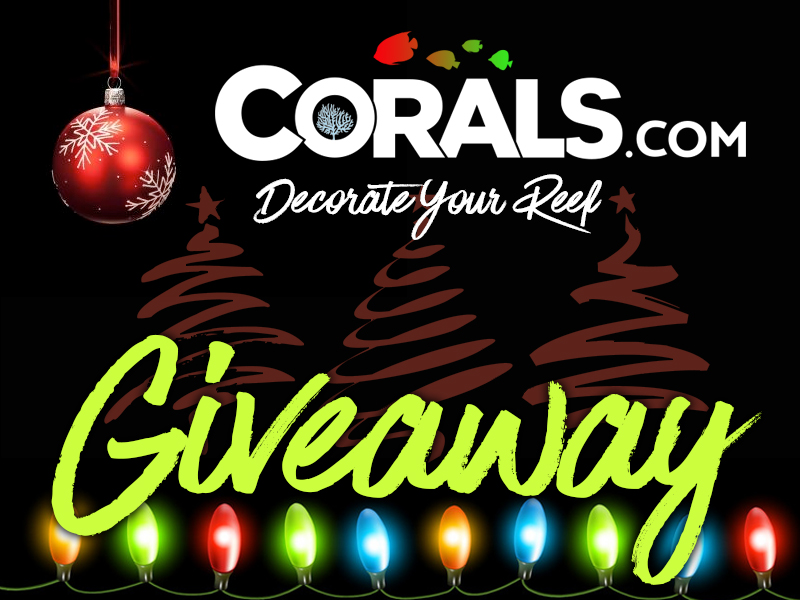 1 giveaway coralscom.jpg