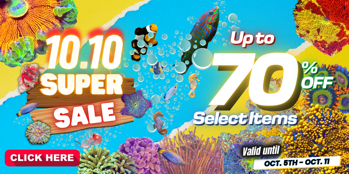 10.05.23 10.10 Super Sale Website Banner.png