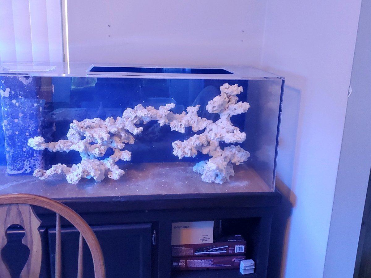 100 gal scape 7-21-21.jpeg