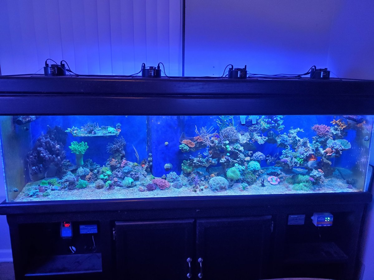 100 gallon 2-9-22.jpg