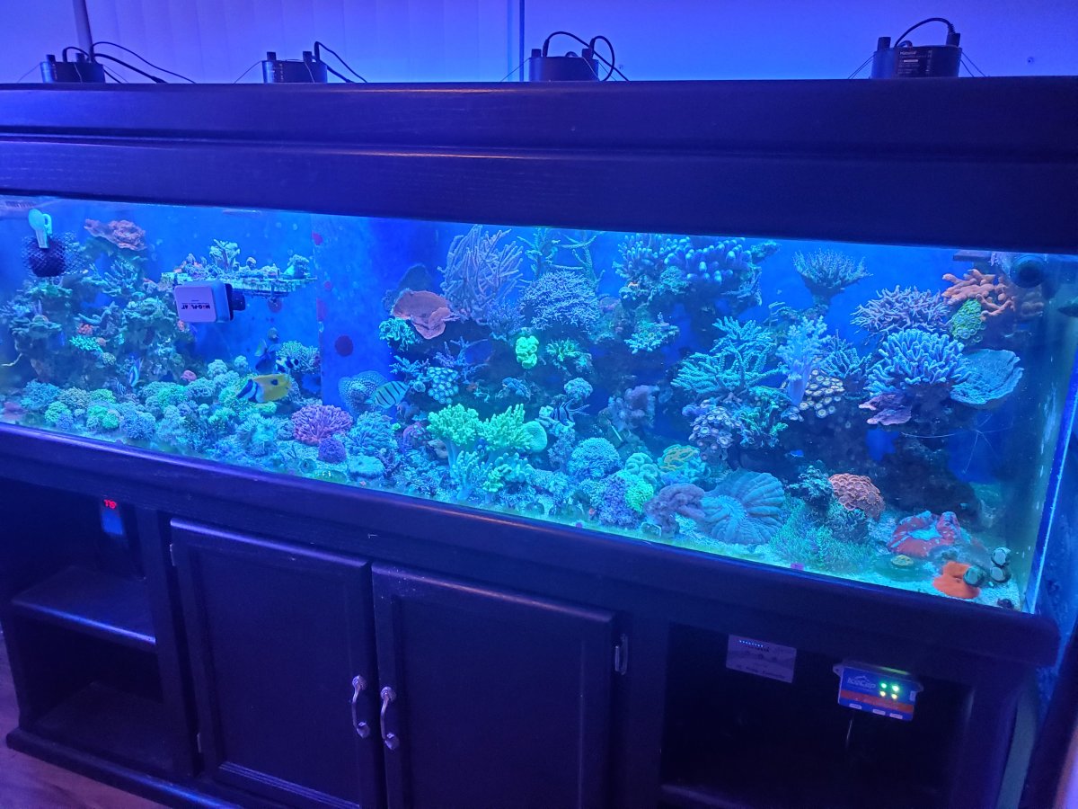 100 gallon 7-28-22.jpg