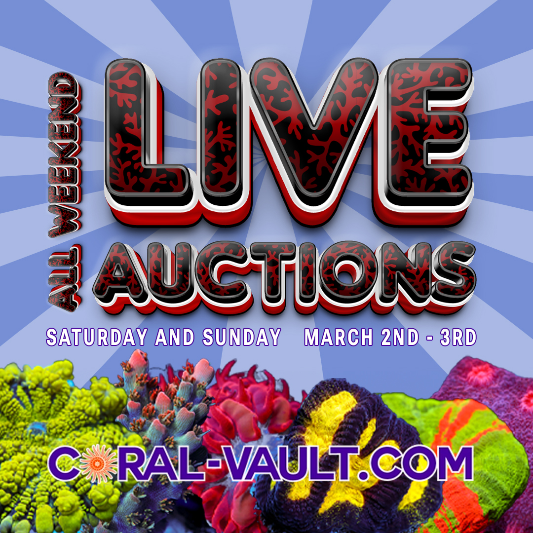 1080x1080-auctions.jpg