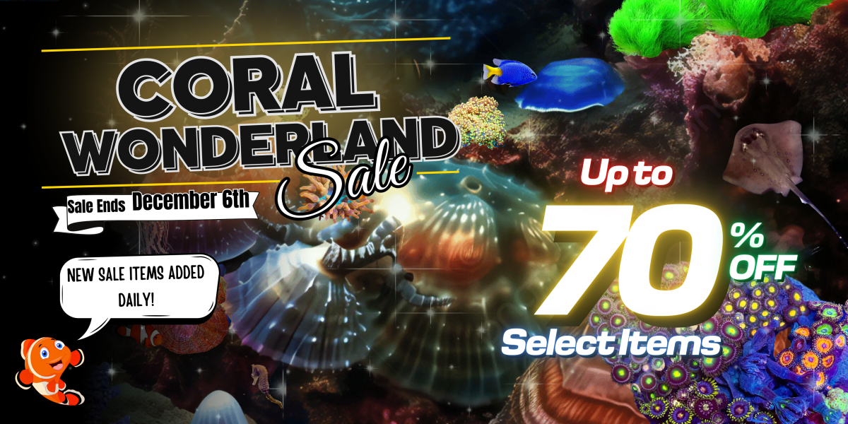 11.0230.2023 CoralapaloozaCoral Wonderland Sale Website Banners (1).png