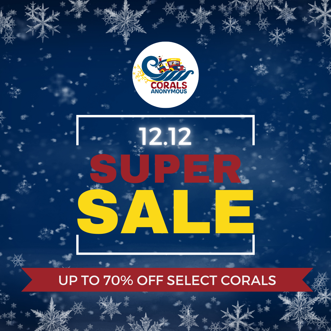 12.08.2022 12.12 SUPER SALE.png