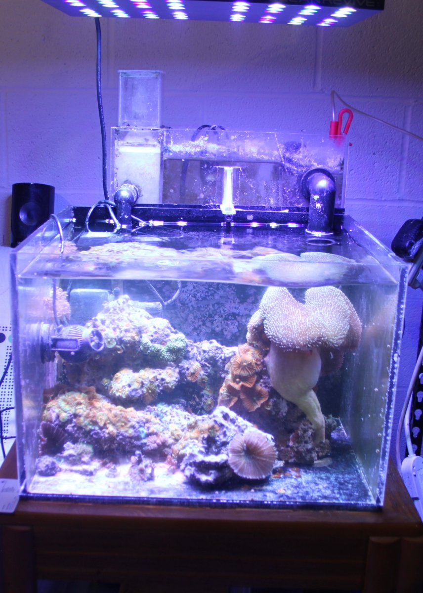 14gallon cube.JPG