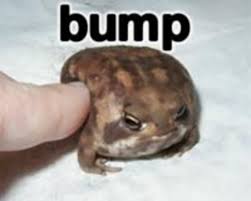 Image result for bump meme