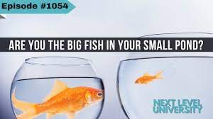 1054 - Are You The Big Fish In Your Small Pond? - YouTube