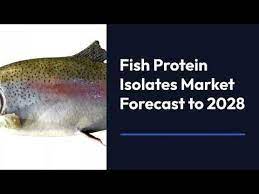 Fish Protein Isolates Market to Exceed USD 1,534.01 million by 2028 -  YouTube