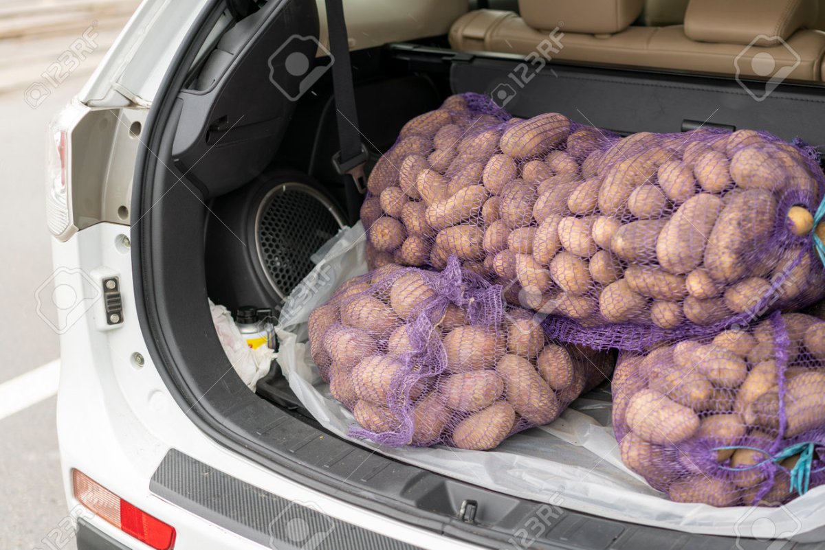 168030090-loaded-car-carries-on-the-trunk-bags-of-potatoes-trunk-of-a-car-filled-with-potatoes...jpg