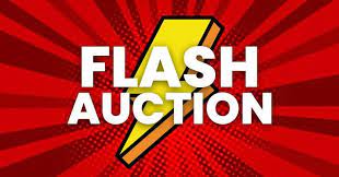 ⚡FLASH AUCTION⚡ - MISGUIDED FREIGHT / E-RETAILER RETURNS & OVERSTOCK -  Mariner Auctions & Liquidations Ltd.