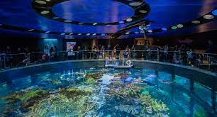 Giant Ocean Tank - New England Aquarium