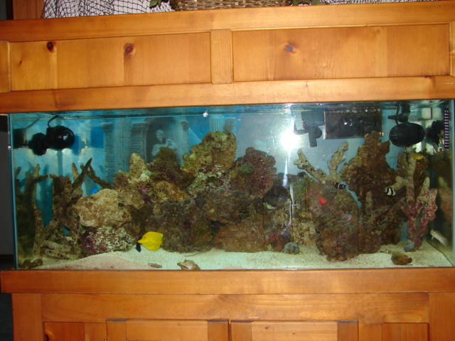 2008 Aquarium_.jpg