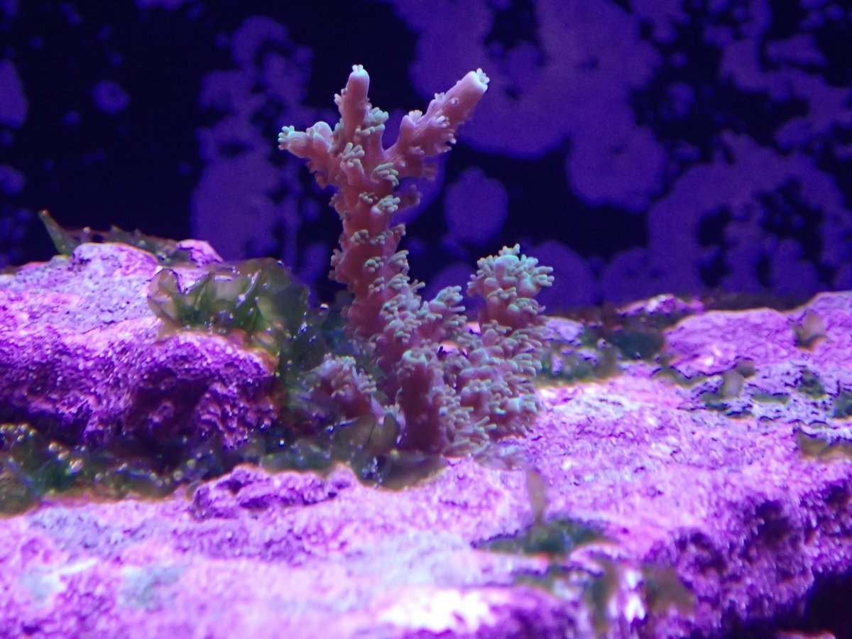 200915_Fish Tank_03.jpg