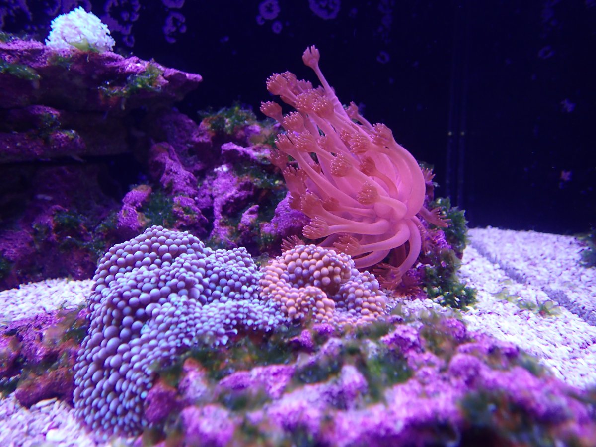 200915_Fish Tank_04.jpg