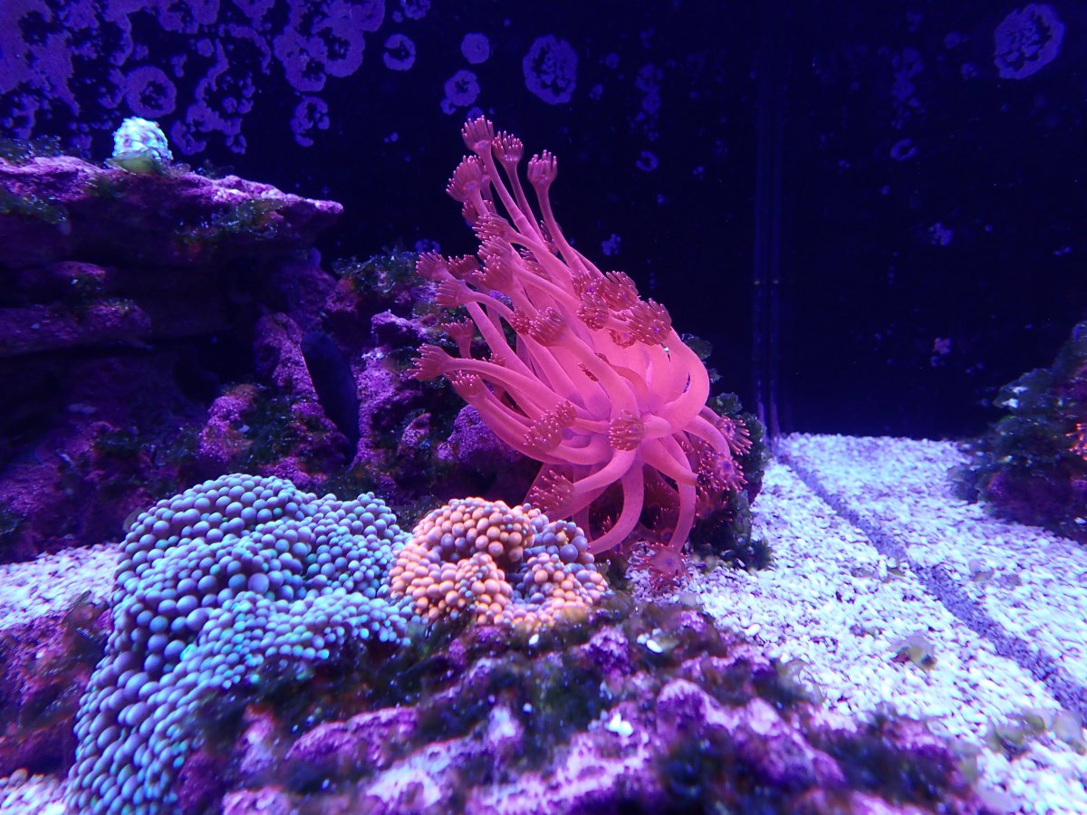 200918_Fish Tank.jpg