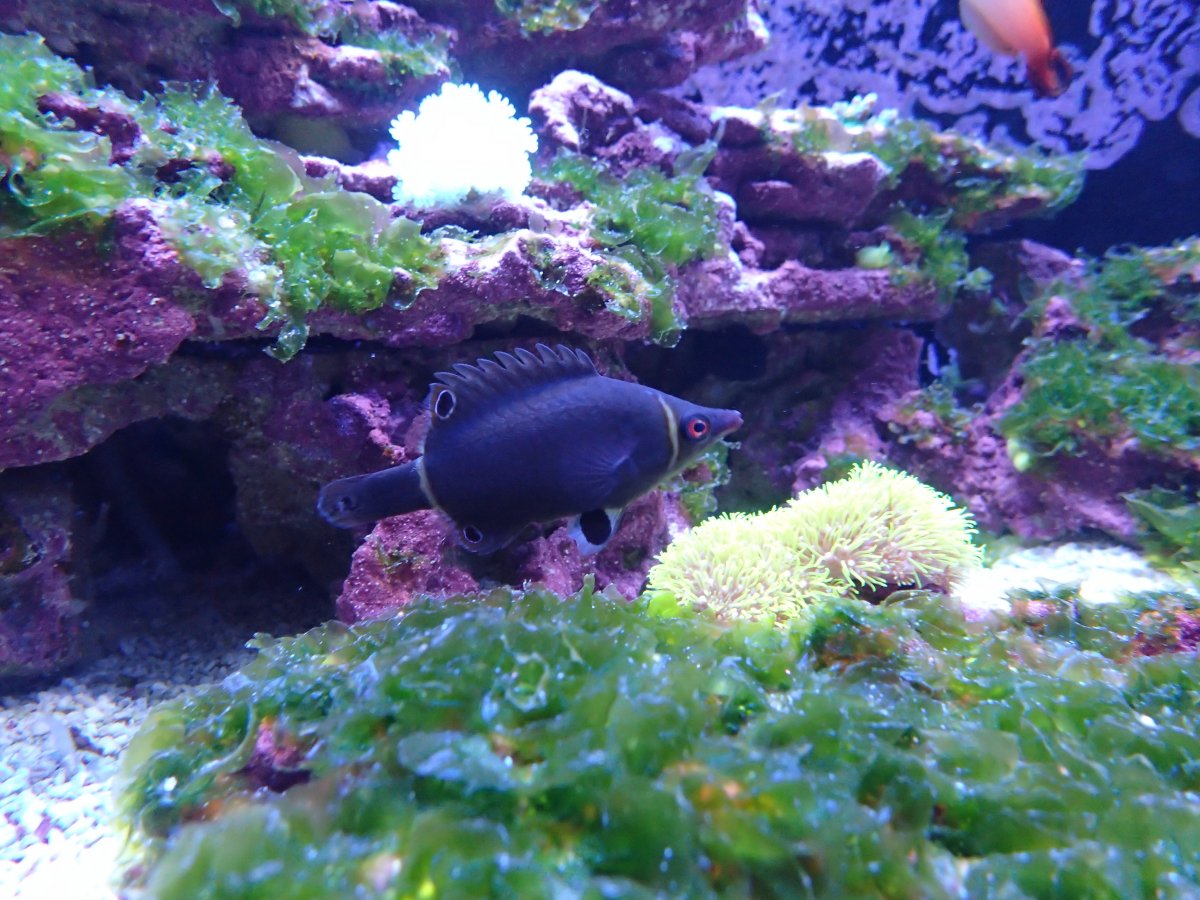 201226_Fish Tank_09.jpg