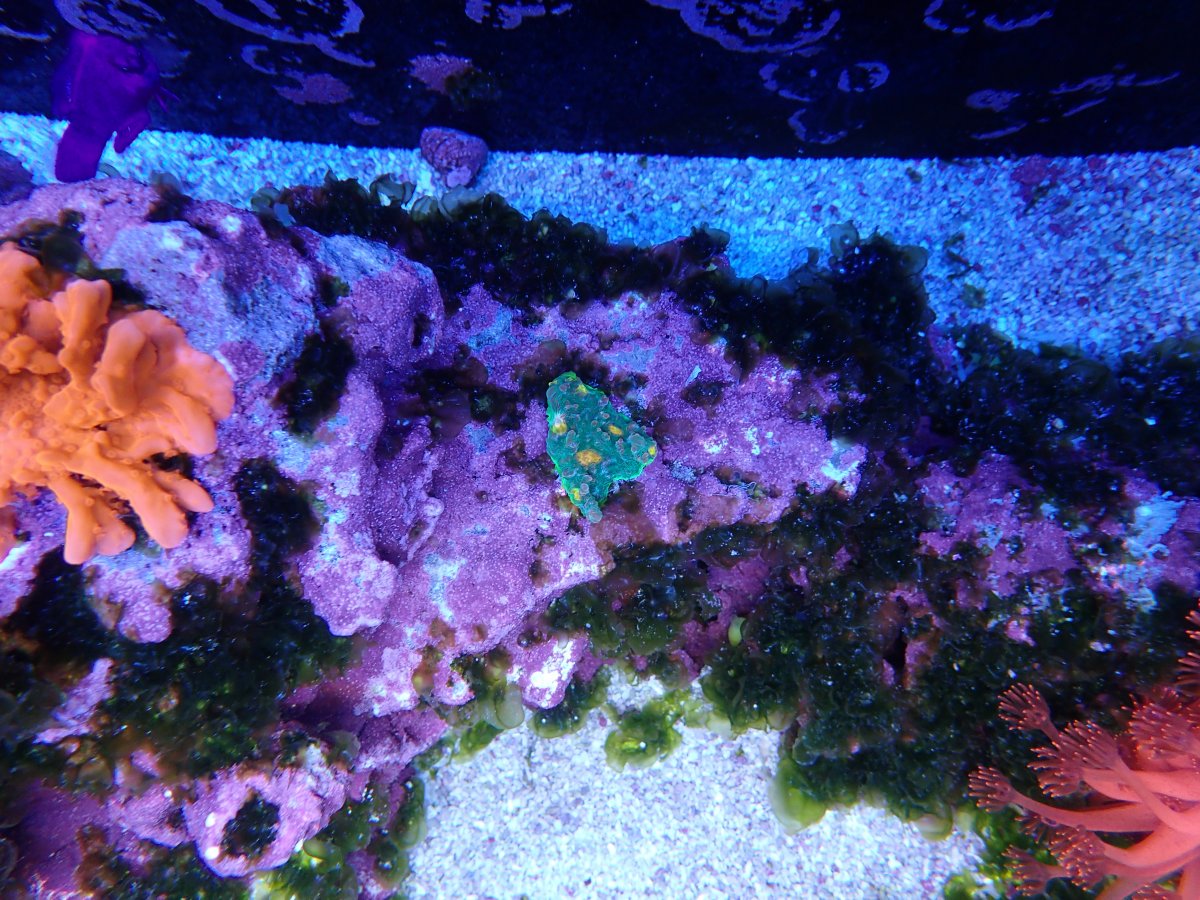 201226_Fish Tank_22.jpg