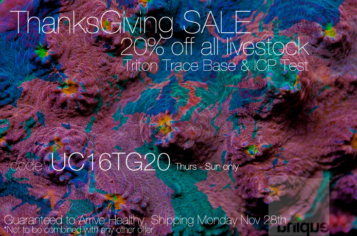 2016-Thanksgiving-SALE-UC-hero.jpg