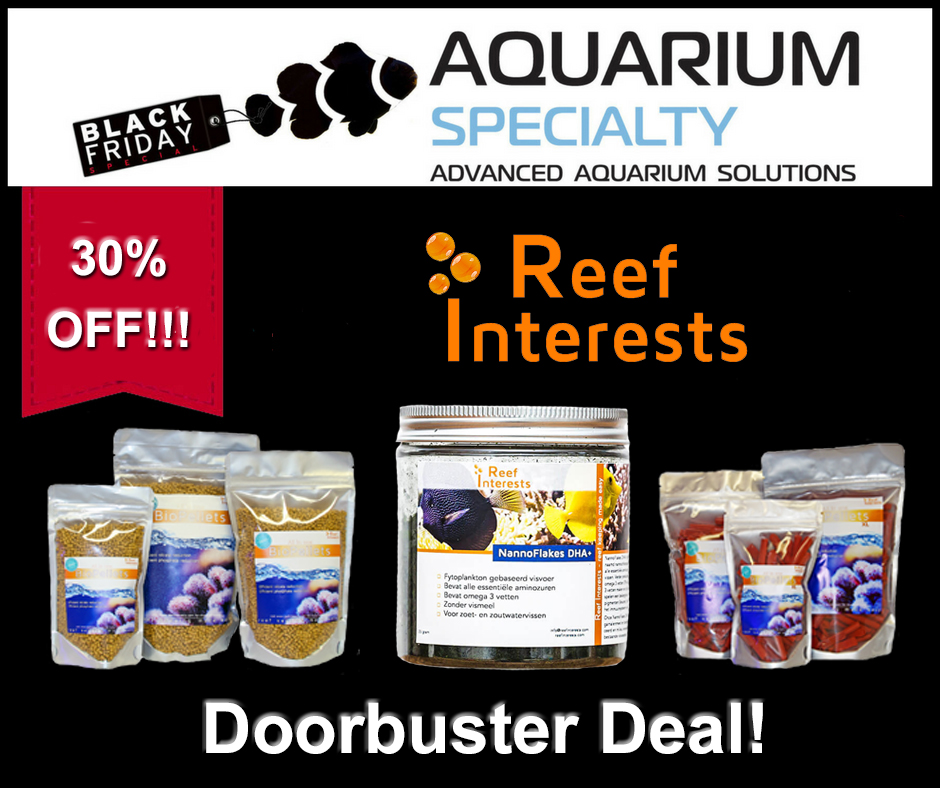 2018-Reef-interest-Newsletter-Black-Friday.jpg