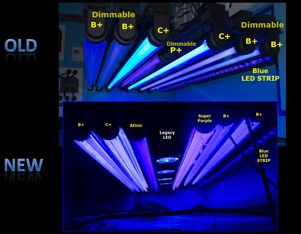 2019-02-23_NewHybirdLighting.jpg