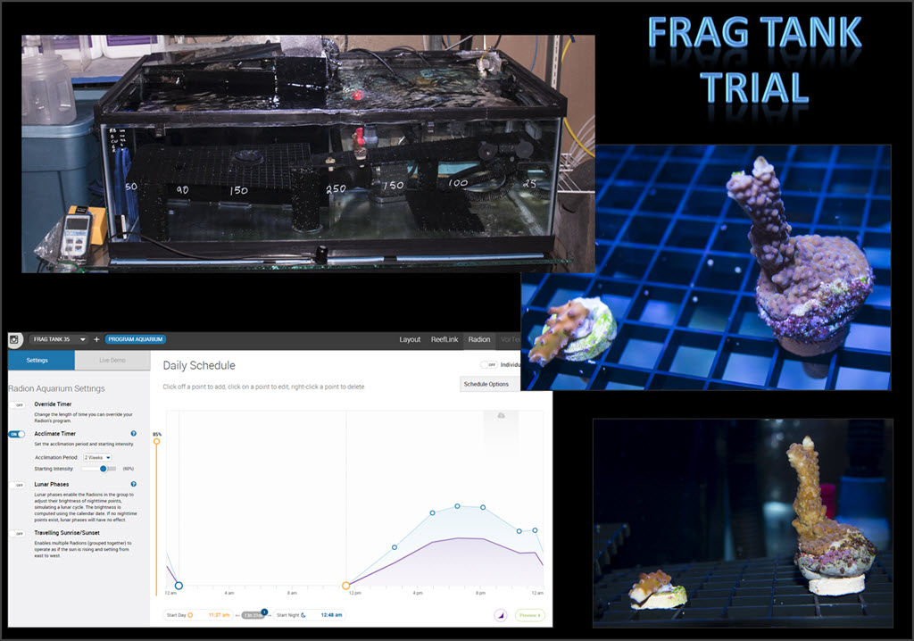 2019-04-17_FragTankTrial.jpg