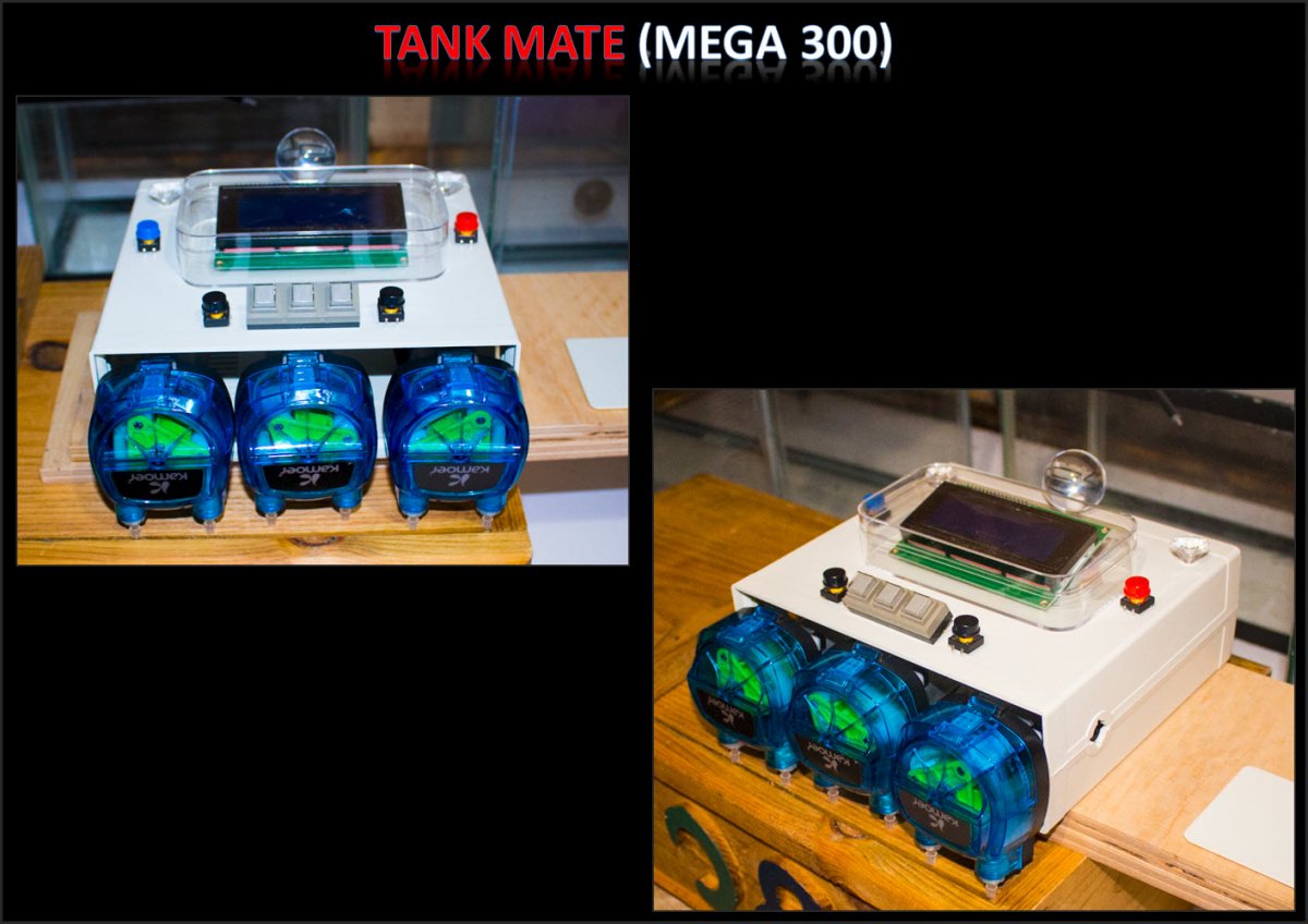 2019-04-19_TankMateMegaProto.jpg