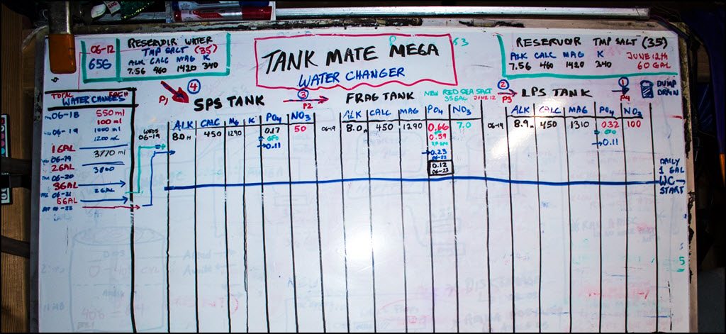 2019-06-24_TankMateMegaStart-WhiteBoard.jpg