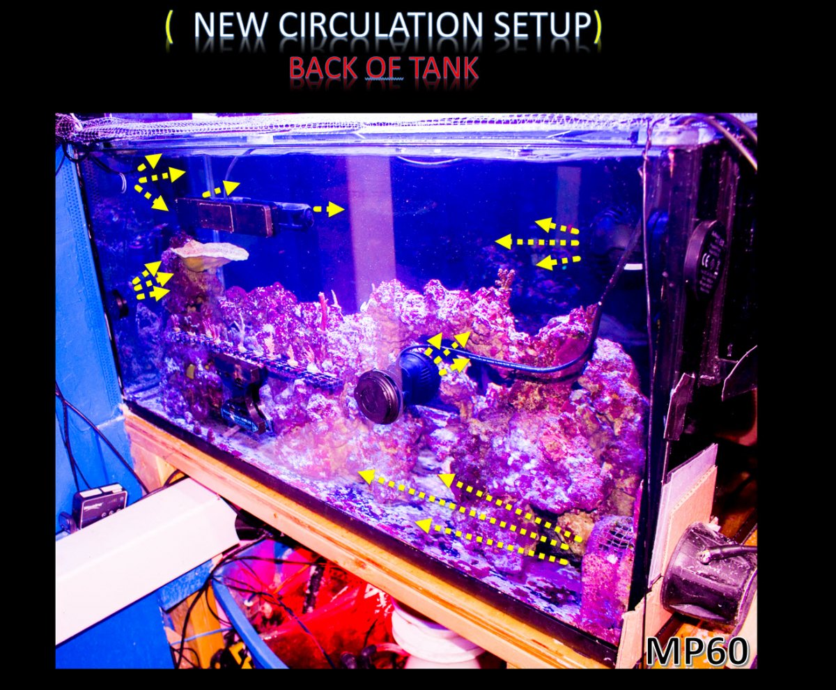 2019-10-31_NewCirculation-Back.jpg