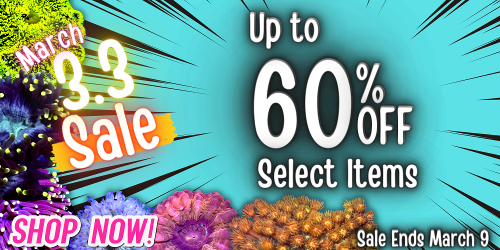 3.3 Sale  Up to 60% Off  March 2 - March 9.png