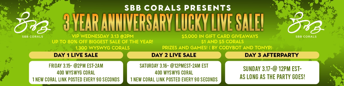 3 Year Anniversary Lucky live sale! 2.jpg