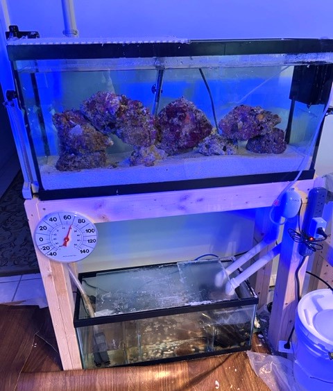 30 gal.jpg