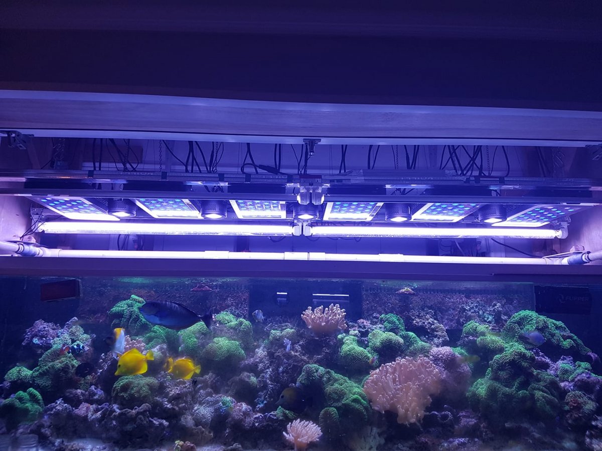 300gal reef tank.jpg