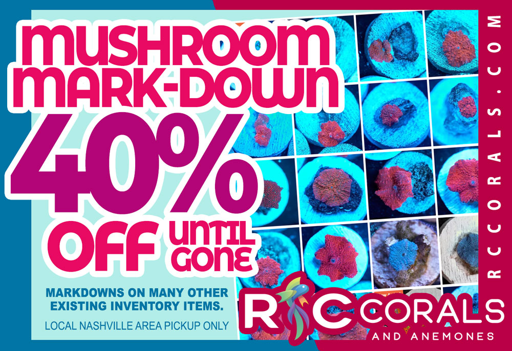 40%MushroomSale_rccorals.jpg