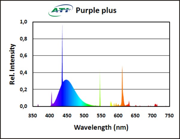 40B6CAC1-0E17-40B9-A008-FDA762CE6A23.jpeg