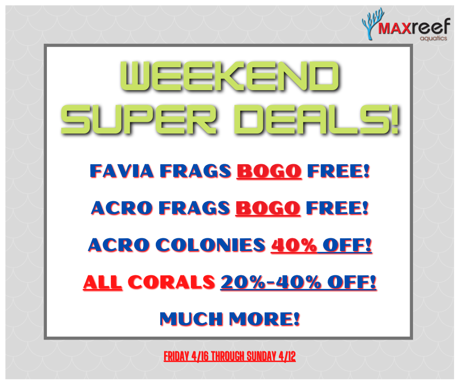 4_9 Weekend Sales (1).png