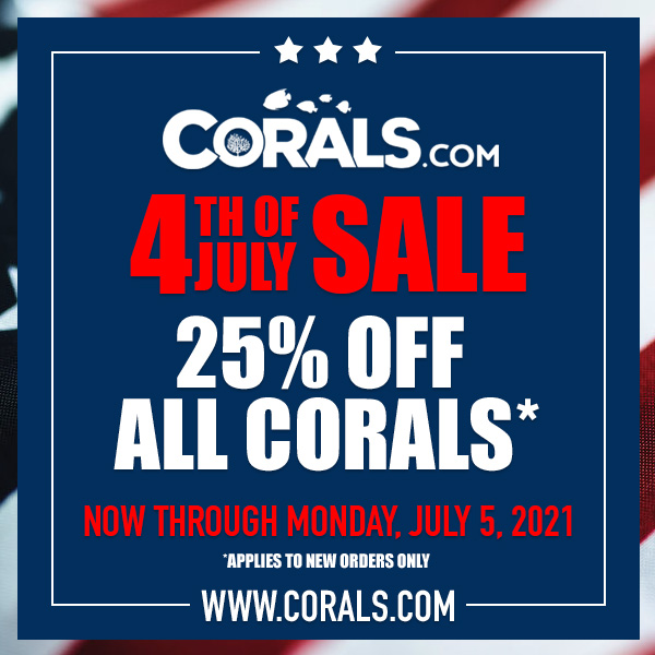 4th-of-july_sale_600x600.jpg