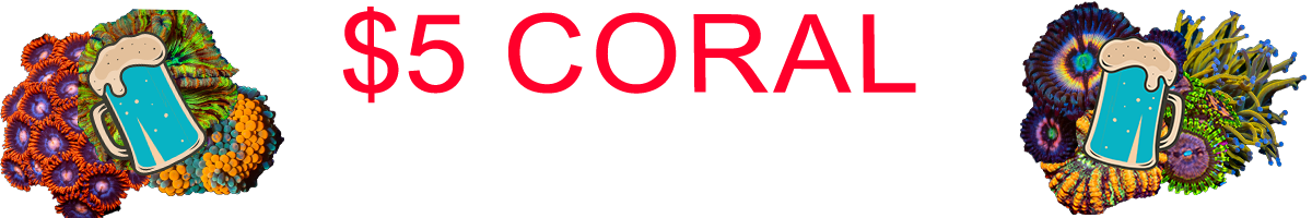 5$frags 1per 1002.0.png