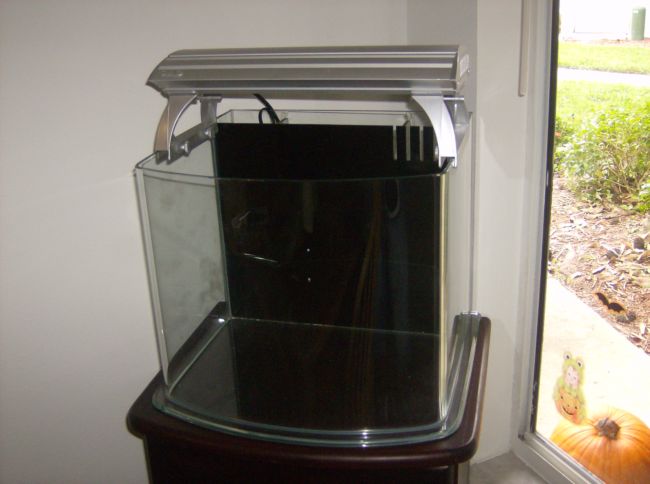 55G fish tank 169.jpg