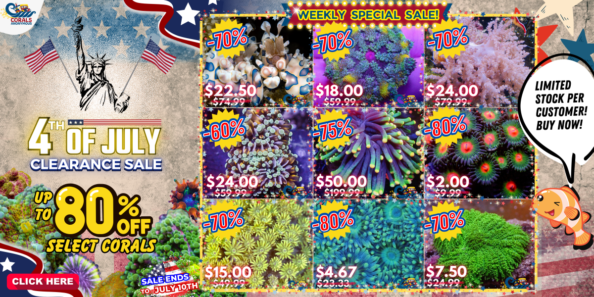 6.29.23 4th of July Sale Website Banner.png