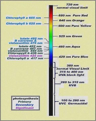 64062825-7E6F-40DC-AC4E-06B121A38FDA.jpeg