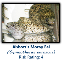 6abbottsmoray copy.png